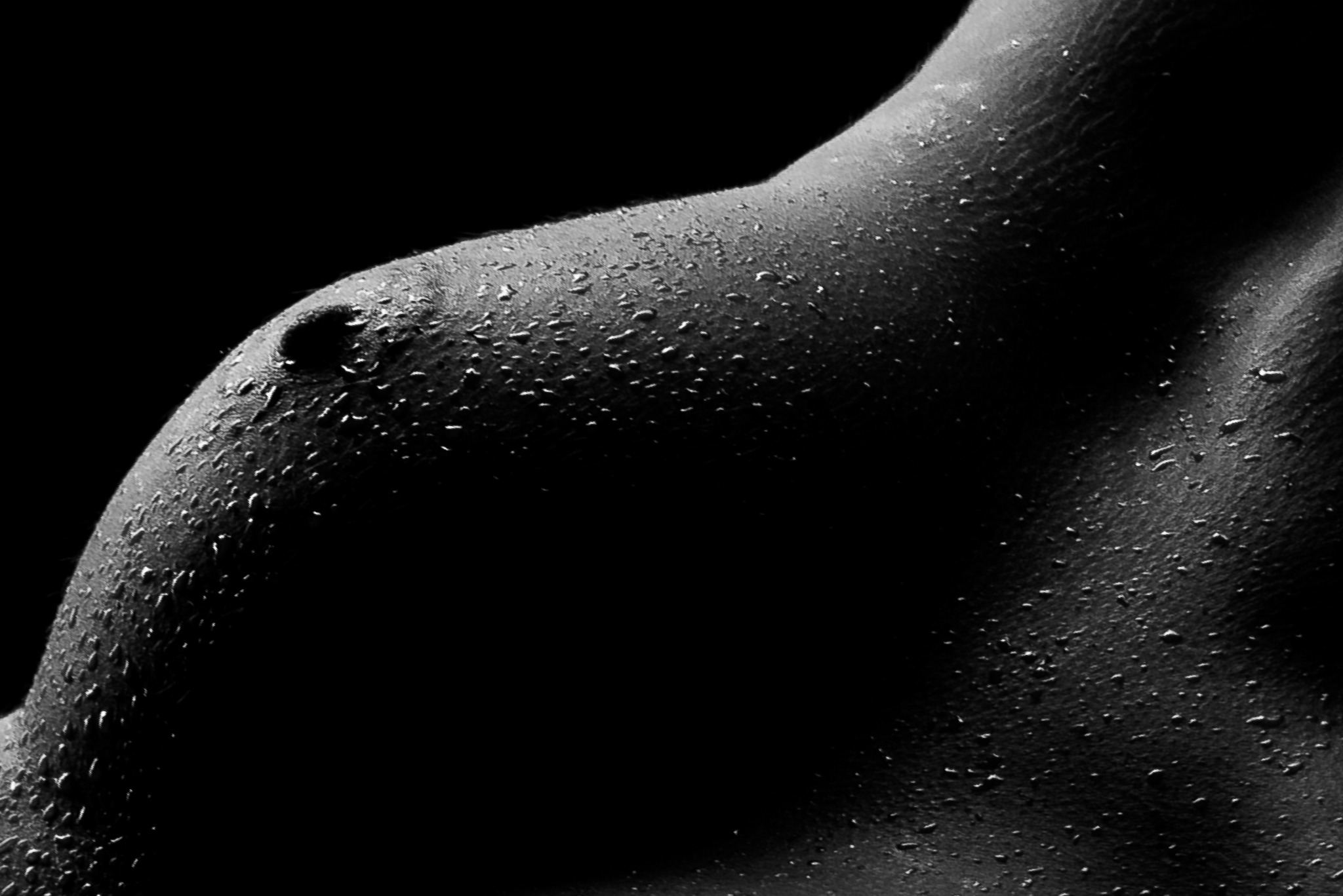 Portfolio Artisitc Nude / Bodyscapes