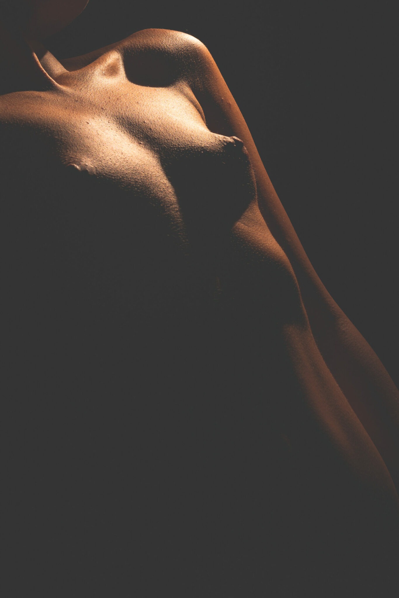 Artistic Nude - Bodyscapes