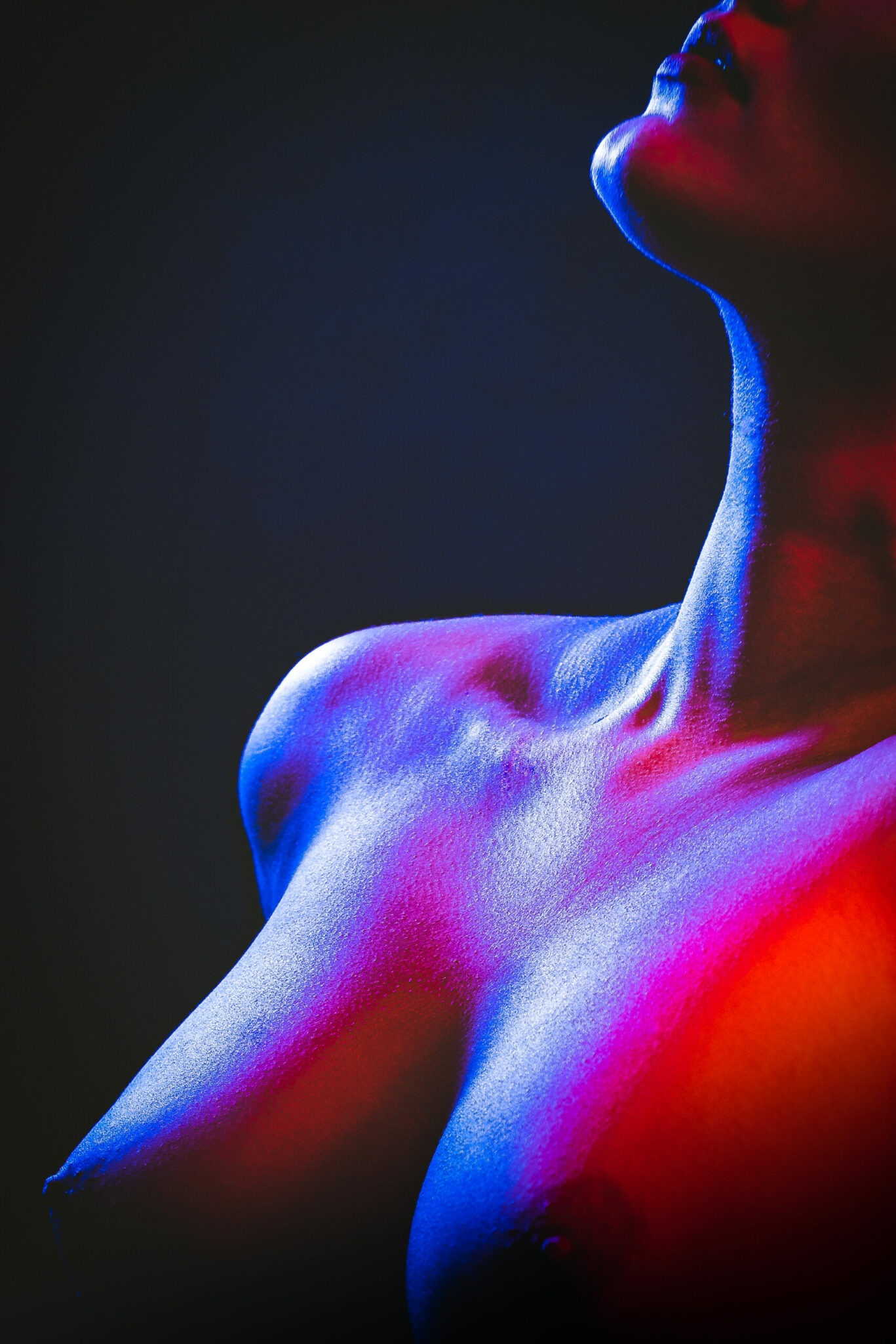 Portfolio Colored Light